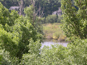 Image: chafford